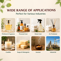 Extrait de plante naturel de qualité alimentaire, huile essentielle aromatique concentrée à l'odeur d'oignon pour la transformation alimentaire, utilisation quotidienne, cosmétique