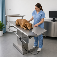 Table d'opération vétérinaire électrique en acier inoxydable 304 en forme de V, table chirurgicale pour animaux de compagnie avec contrôle de la température pour clinique vétérinaire