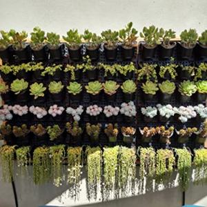 Jardinera Vertical con Sistema de Riego Automático para Jardinería Interior y Exterior, para Hierbas, Vegetales y Flores - Product Image 6