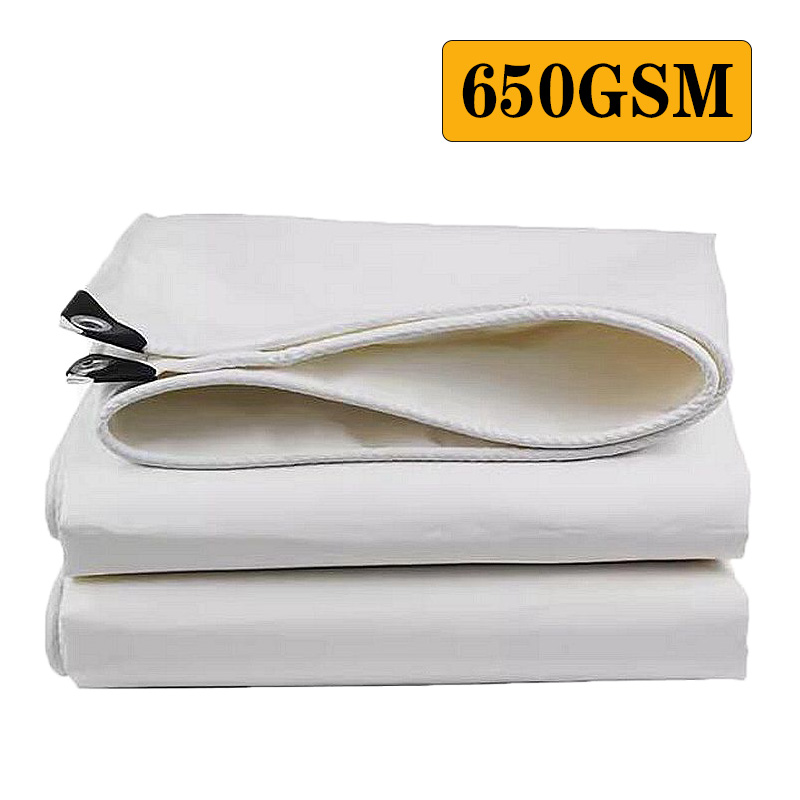 650GSM
