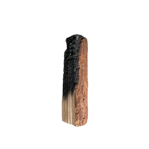Madera de abedul, tronco de abedul, <span class=keywords><strong>leña</strong></span> artificial de abedul - Product Image 6