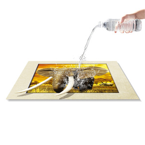 Type animal décoratif d'ANIMAL FAMILIER de conception d'impression <span class=keywords><strong>lenticulaire</strong></span> d'image en plastique de la haute <span class=keywords><strong>définition</strong></span> 5D - Product Image 6