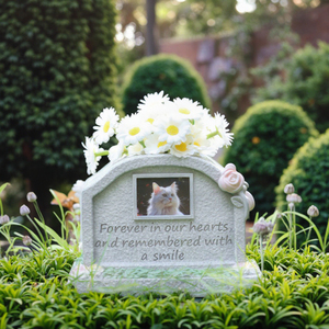 Luxe créatif chat chien mémorial pierre tombale polyrésine sacrificielle cercueil <span class=keywords><strong>pour</strong></span> animaux de compagnie urne funéraire <span class=keywords><strong>pour</strong></span> cendres d'animaux urne ornementale <span class=keywords><strong>pour</strong></span> - Product Image 2