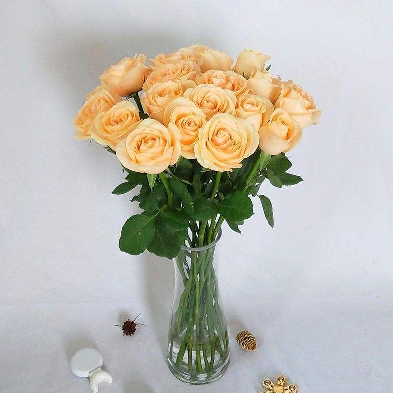 Rosas de champán (20 palos/corbata)