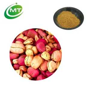 Organic Natural 10:1 Skin-Care Kola Nut Extract for Beverage