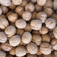 Noix en gros, variété naturelle, noix séchées en vrac, collations saines, petit-déjeuner, pâtisserie, qualité alimentaire OEM, pour desserts et cadeaux