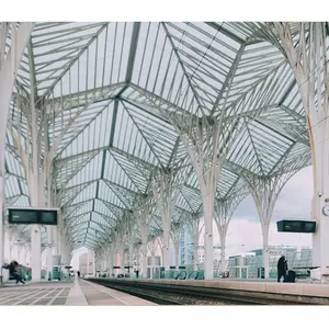 Cofre profissionais estrutura de aço grande span estrutura do trem da estação do telhado