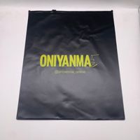 Pochette à fermeture éclair curseur givré biodégradable en PVC pour maillot de bain bikini sous-vêtements vêtements de plage pantalons chaussures emballage sac en plastique à fermeture éclair