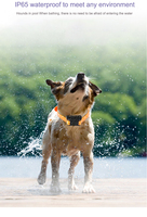 Collier de suivi GPS pour chiens et bétail, étanche, en plastique, suivi en temps réel avec une grosse batterie, suivi en temps réel, bon signal