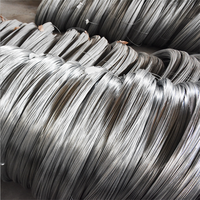 3mm 6mm 8mm Grade 70 SAE1070 72A 72B 77B SWRH 82A 82B 2mm 3mm Fil d'acier à ressort à haute teneur en carbone