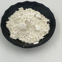 Poudre de Psyllium en vrac de qualité alimentaire
