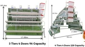 Batterie <span class=keywords><strong>de</strong></span> haute qualité 3/4 niveaux 96/120/128/160 Poulet pondant un type 500 couche <span class=keywords><strong>Oeuf</strong></span> poules Cage prix batterie ferme avicole à <span class=keywords><strong>vendre</strong></span> - Product Image 5