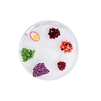 Plateau de séder de Pessah personnalisé en lucite, bols en acrylique, plateau de Pessah, mots hébreux, judaïca, cadeau juif