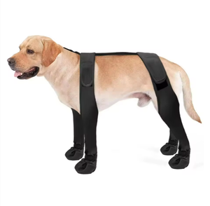 כל העונה האוניברסלית כלב מגן מגפיים מותאמים אישית כלב עם אנטי-לכלוך & עמיד למים תכונות קטנות נעלי חיות מחמד & גרביים - Product Image 1