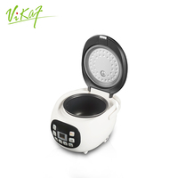 Micro cuiseur à riz pour 2/3 personnes, appareil de cuisine moderne, cuiseur multi-cuiseur électrique, boîte à Lunch, cuiseur à riz, usage domestique