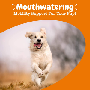 อาหารเสริมสัตว์เลี้ยงสุนัขแมวป่าอลาสกันปลาแซลมอนน้ำมันที่อุดมไปด้วยโอเมก้า3 | การดูดซึมที่ไวต่อการย่อยอาหารเสื้อโค้ทผิวหนังสนับสนุนภูมิคุ้มกัน + - Product Image 6