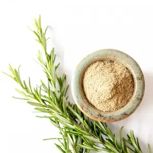 Direct Factory Sale of 100% Organic Indian Rosemary Leaf Powder Certified for Health Food and Cosmetics Buy Indian Supplier