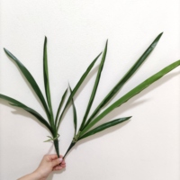 Daun Anggrek Cymbidium Plastik Berkualitas Tinggi, Tanaman Mini dalam Pot, Daun Phalaenopsis Sentuhan Asli, Dekorasi Natal