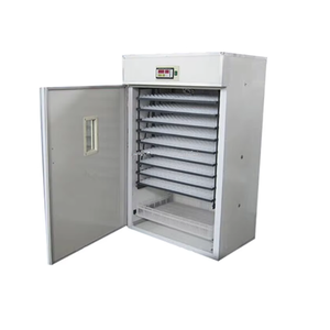 528 năng lượng mặt trời năng lượng nhà làm lồng ấp trứng gà lồng ấp để bán - Product Image 5