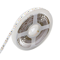 Lampu strip LED 12V 120LEDs/M kustom IP20, strip lampu smd 3014 putih hangat untuk dalam ruangan