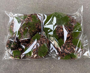 ミックスサイズ軽量セラミック製模擬モスストーン人工石ボールグリーン植物、家庭菜園植木鉢装飾用 - Product Image 3