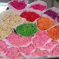 Bouquet de fleurs séchées romantiques pour femmes, fleurs préservées, gypsophile séchée, vente en gros