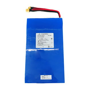 Paquete de Baterías de Iones de Litio 10S2P 36V 10Ah 21700 para Scooter y Otras Herramientas - Product Image 1