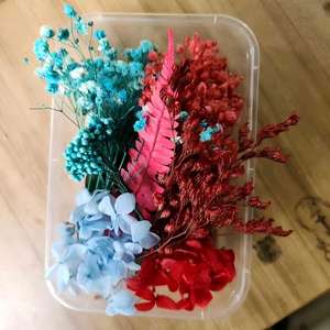 Kit de fleurs séchées et stabilisées mélangées en gros <span class=keywords><strong>pour</strong></span> moules en résine époxy, remplissage de pots à bougies, décoration artisanale DIY, cartes d'invitation de mariage - Product Image 6