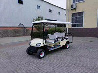 Voiturette de golf électrique classique 6 places 48V avec feux LED avant et arrière combinés, sac de golf 3M inclus, certifiée CE