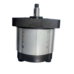 Bomba de Engranajes Hidráulicos Serie PGE101 PGE102 PGE103 PGE104 de HUAMAO, Modelo PGE102-630-RBR4-N-3700 - Product Image 2