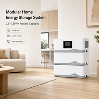 Système solaire de balcon 2,5 kWh 5 kWh 7,5 kWh, système de stockage d'énergie pour balcon avec micro-onduleur, système de batterie solaire tout-en-un pour balcon