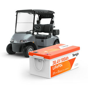 Baterai Lithium untuk Golf Cart 36V 100Ah 3.84kWh dengan Layar LCD, BMS 200A & Bluetooth Terintegrasi, 5000+ Siklus Pengisian. - Product Image 1