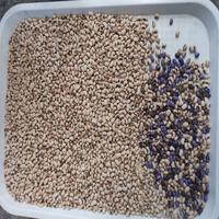 Machine de tri optique multifonctionnelle pour riz, céréales, haricots, graines et noix