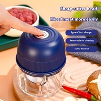 Mini robot culinaire manuel électrique en acier inoxydable type-c rechargeable sans fil broyeur de fruits et légumes PP pilon presse-ail