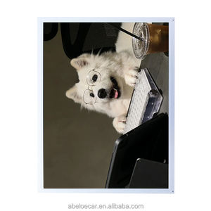 Módulo LCD AUO de 15'' G150XTN06.0, Panel TFT de 450nits con Controlador LED, Reemplazo Directo para AC150XA01 CLAA150XM04 LQ150X1LG76 - Product Image 3