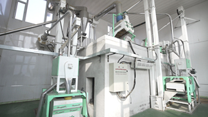 Semillas de Quinoa Negra Seca Premium al por Mayor, Sin GMO, Sin Gluten, 12 Meses de Vida Útil, <span class=keywords><strong>para</strong></span> Tiendas de <span class=keywords><strong>Alimentos</strong></span> Saludables, Marca Privada - Product Image 4