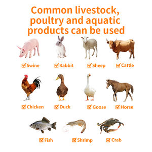 สารเติมแต่งอาหารสำหรับอาหารโคลีนคลอไรด์ที่ซับซ้อ<span class=keywords><strong>น</strong></span>วิตามิ<span class=keywords><strong>น</strong></span>บี - Product Image 3