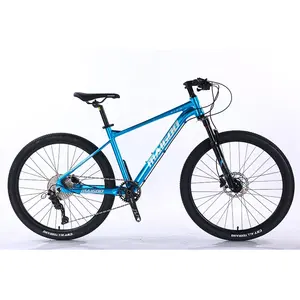 Mountain bike in lega da 26 "a 10 velocità