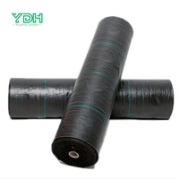 Tissu de couverture de sol en PP noir de haute qualité pour le contrôle des mauvaises herbes, barrière contre les mauvaises herbes, tissage, rouleau pour jardin, serre