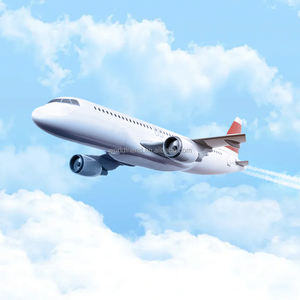 从江西/广东/广西省到美国的集装箱的航空快递类别门到门海运服务 - Product Image 1