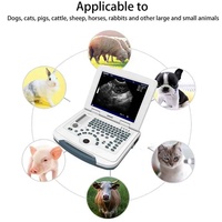 Escáner de ultrasonido portátil Dawei, máquina de ultrasonido de animales pequeños para embarazo veterinario