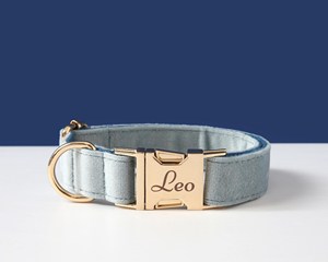 ชุดสายจูงสีฟ้าฝุ่นปลอกคอและตะกั่วลูกสุนัขขนาดเล็กคอปกวีทหนาคอแต่งงานของขวัญคนรักสุนัขสหราชอาณาจักร - Product Image 6