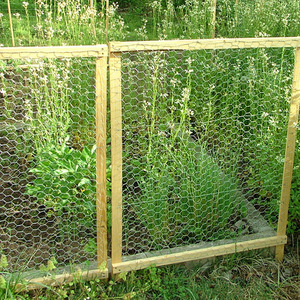<span class=keywords><strong>Grillage</strong></span> hexagonal décoratif galvanisé par barrière de <span class=keywords><strong>grillage</strong></span> de poulet d'usine - Product Image 5