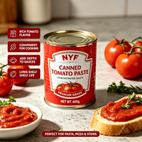 Pâte de tomate concentrée doublement premium en conserve 28-30% Brix Non-OGM Halal, sauce tomate en conserve pour la cuisine, approvisionnement en vrac