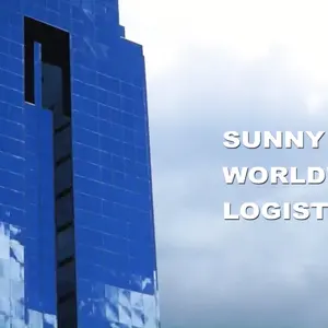 Schlussverkauf Container 40 Fuß gebrauchter leerer Container von Shenzhen China nach Sao Paulo Brasilien professionell