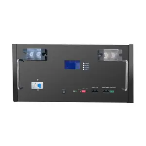 Energie Met Lithium Ijzerfosfaat 48V 51.2V 50ah 100ah 200ah Rack Gemonteerde Opslagbatterij