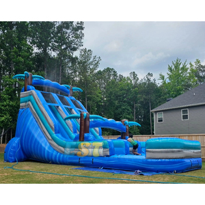 Portable Blue Water <strong>Slide</strong> Pool Commercial <strong>Inflatable</strong> Water <strong>Slide</strong> With Splash Pool Double Lane Outdoor <strong>Slide</strong> - Product Image 3