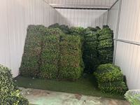 Plantes vertes murales artificielles 3D personnalisées Prix buis artificiel Fleur verticale Décoration murale Plantes murales artificielles Tapis