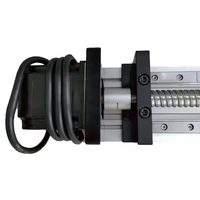 Curseur de Module linéaire de charge lourde avec guides linéaires de course de 300mm 400mm 500mm roulement de noyau de vis à billes pour Machines CNC