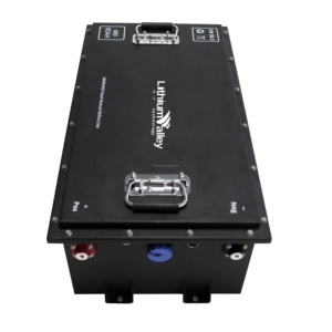 Golf Cart <b>Battery</b> <b>48V</b> 100AH Lithium Ion <b>Batteries</b> 60AH Trailer 105AH with Communication - Product Image 6